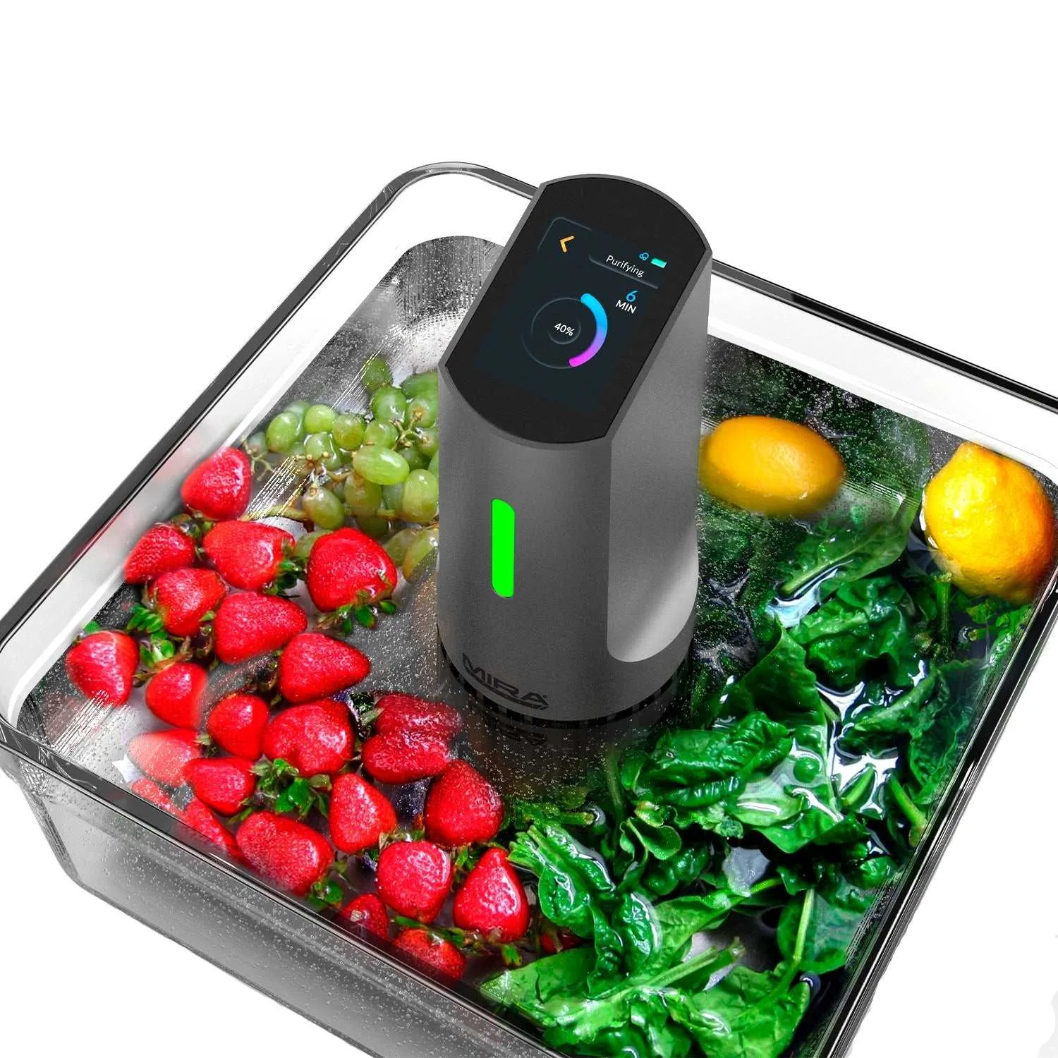 Meat Fruit & Vegetable Wash Machine